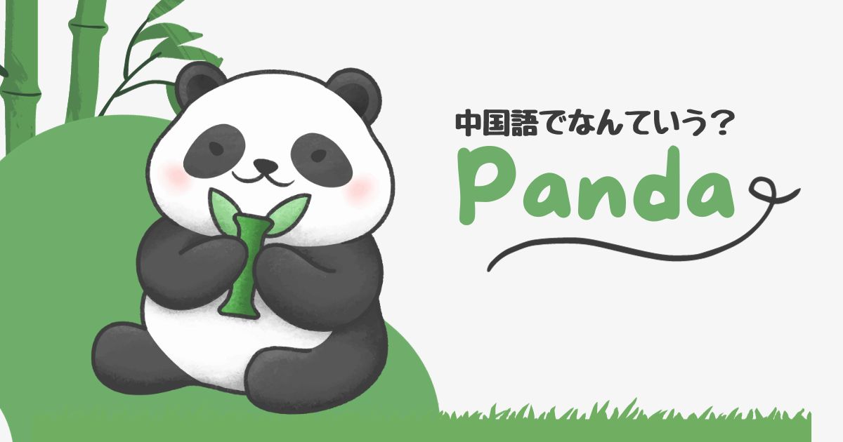 中国語でパンダはなんていう？「熊猫」になった由来や発音・ピンインについて解説！